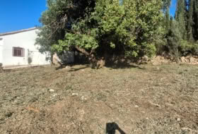 Turís 683&nbsp;m²