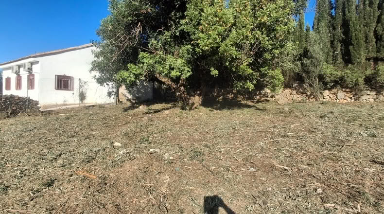 Valencia - Turís - 683m2