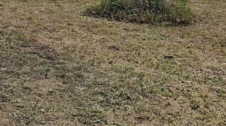 Toledo - Los Navalmorales - 2900m2