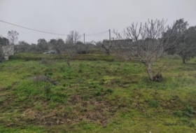 Plasencia 6000&nbsp;m² 