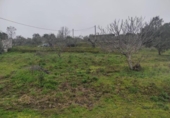 Terreny no urbanitzable en venda a la España, Plasencia, ref.: TR410822 foto