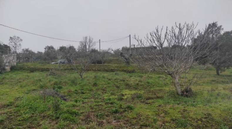 Cáceres - Plasencia - 6000m2