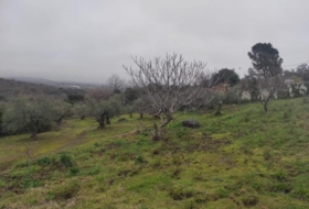 Plasencia 6000&nbsp;m² 