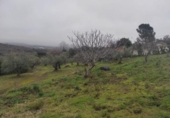 Terreny no urbanitzable en venda a la España, Plasencia, ref.: TR410822 foto
