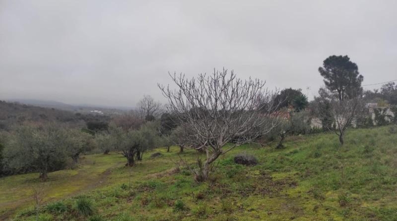 Cáceres - Plasencia - 6000m2