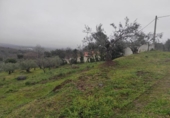 Terreny no urbanitzable en venda a la España, Plasencia, ref.: TR410822 foto