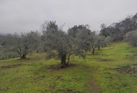 Plasencia 6000&nbsp;m² 