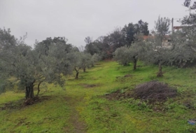 Plasencia 6000&nbsp;m² 