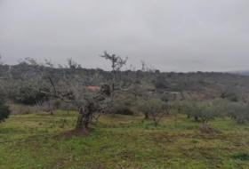 Plasencia 6000&nbsp;m² 