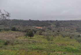 Plasencia 6000&nbsp;m² 