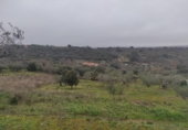 Terreny no urbanitzable en venda a la España, Plasencia, ref.: TR410822 foto