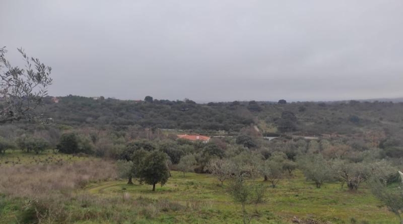 Cáceres - Plasencia - 6000m2