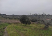 Terreny no urbanitzable en venda a la España, Plasencia, ref.: TR410822 foto