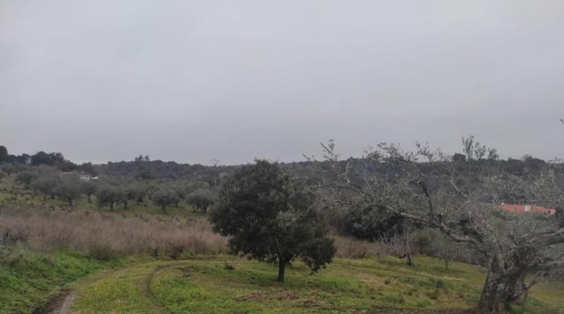 Cáceres - Plasencia - 6000m2