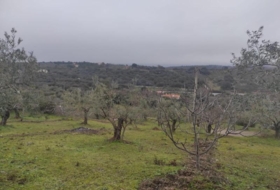 Plasencia 6000&nbsp;m² 