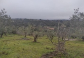 Terreny no urbanitzable en venda a la España, Plasencia, ref.: TR410822 foto