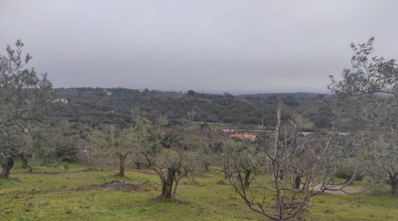 Cáceres - Plasencia - 6000m2