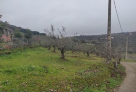 Plasencia 6000&nbsp;m² 