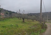 Terreny no urbanitzable en venda a la España, Plasencia, ref.: TR410822 foto