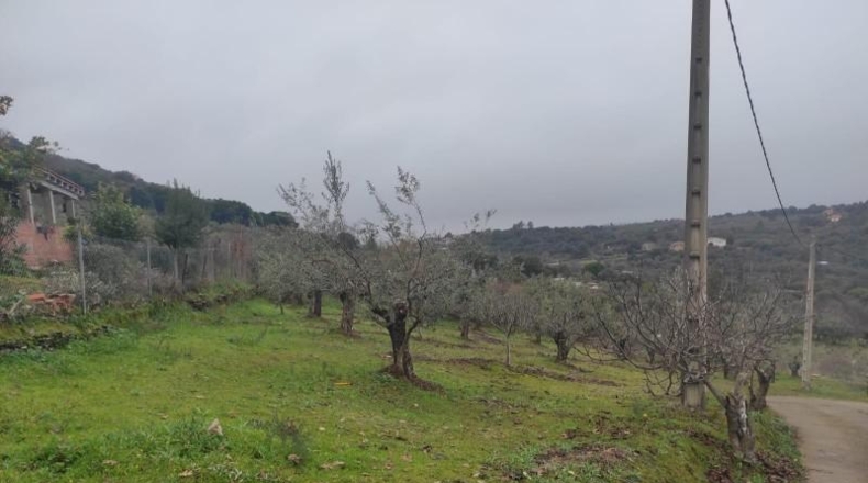 Cáceres - Plasencia - 6000m2