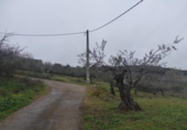 Terreny no urbanitzable en venda a la España, Plasencia, ref.: TR410822 foto
