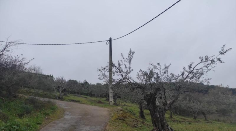 Cáceres - Plasencia - 6000m2