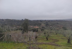 Plasencia 6000&nbsp;m² 