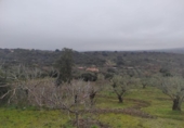 Terreny no urbanitzable en venda a la España, Plasencia, ref.: TR410822 foto
