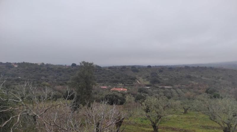 Cáceres - Plasencia - 6000m2