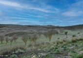 Non-developable land for sale on España, Albuñuelas, ref: TR410821 photo