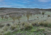 Non-developable land for sale on España, Albuñuelas, ref: TR410821 photo