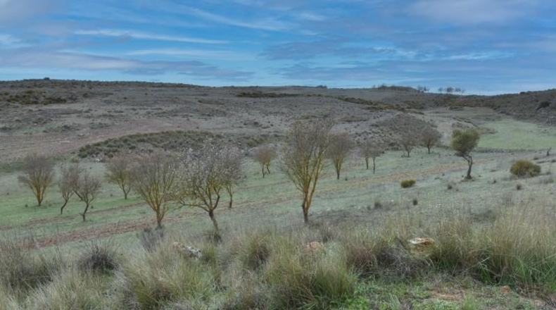 Granada - Albuñuelas - 10528m2