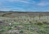 Non-developable land for sale on España, Albuñuelas, ref: TR410821 photo