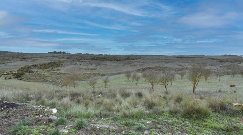 Granada - Albuñuelas - 10528m2
