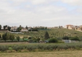 Non-developable land for sale on España, Los Llanos, ref: TR410842 photo