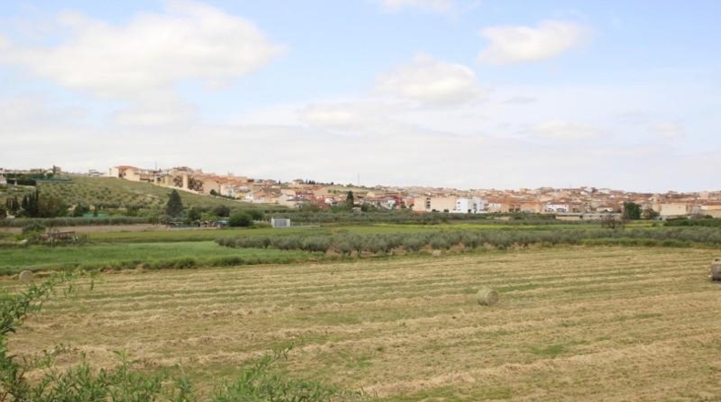 Granada - Los Llanos - 2867m2