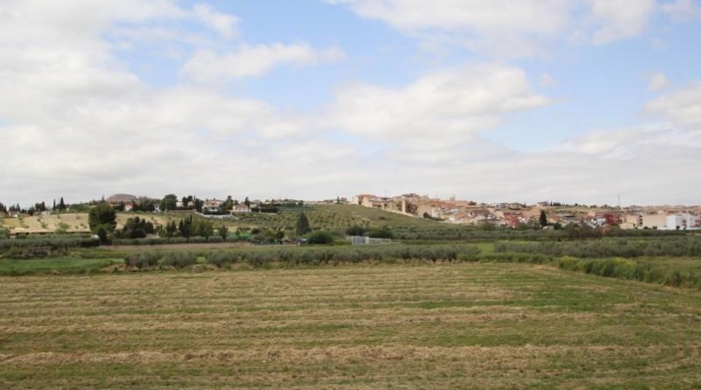 Granada - Los Llanos - 2867m2
