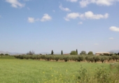 Non-developable land for sale on España, Los Llanos, ref: TR410842 photo