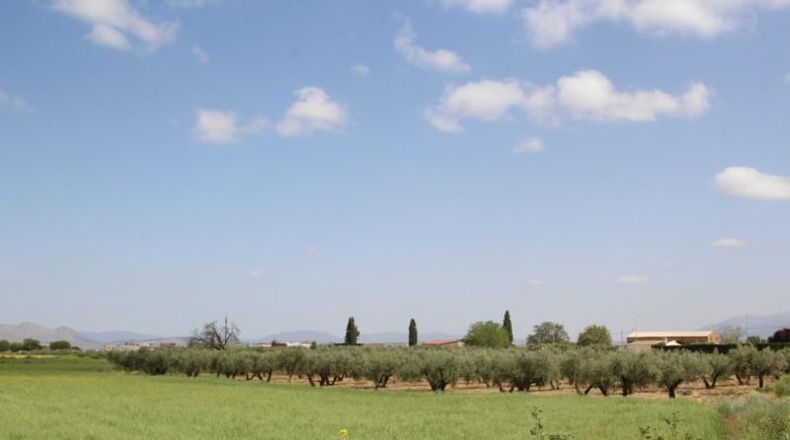 Granada - Los Llanos - 2867m2