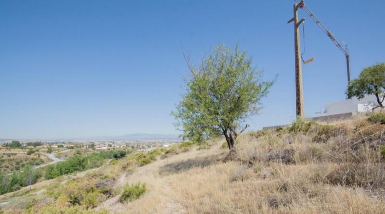 Granada - La Zubia - 604m2