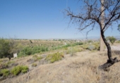 Sòl urbà en venda a la España, La Zubia, ref.: TR410831 foto