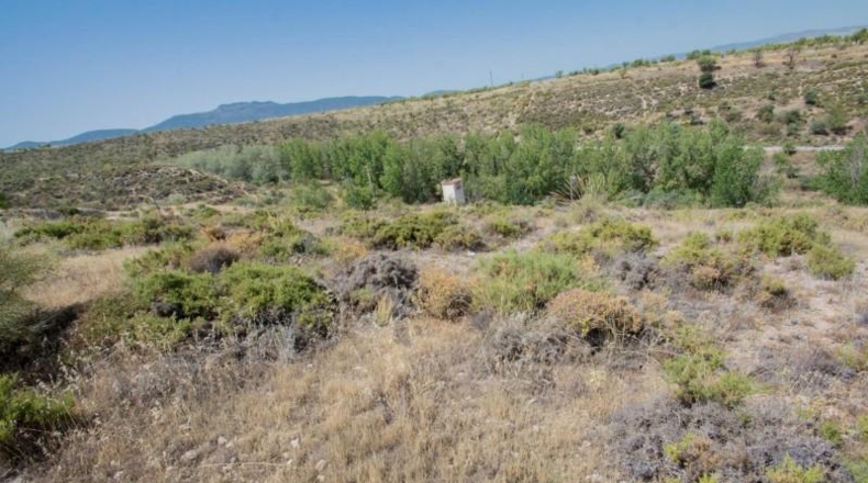 Granada - La Zubia - 604m2