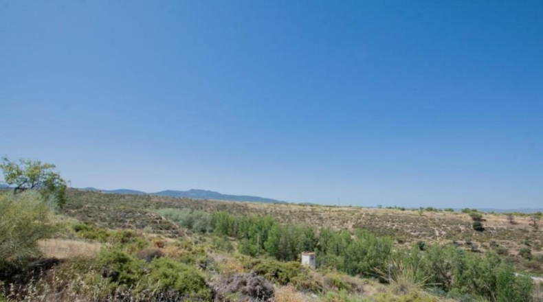Granada - La Zubia - 604m2