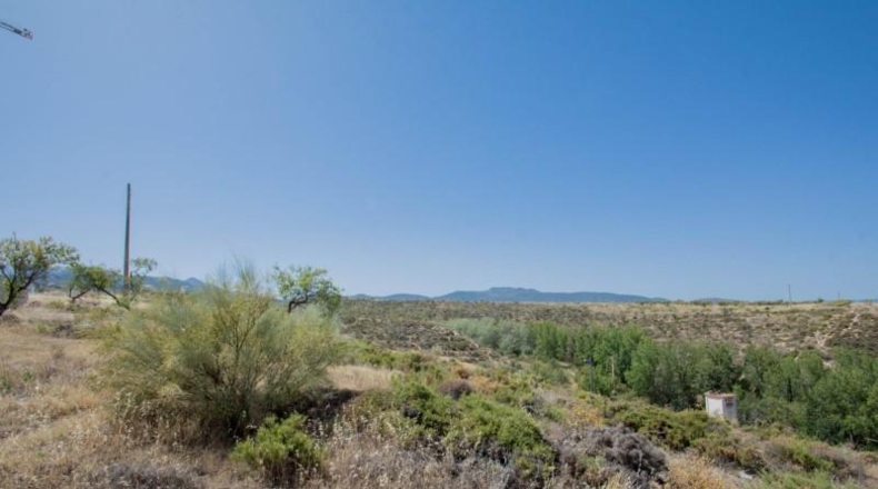 Granada - La Zubia - 604m2