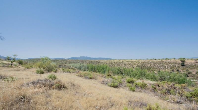 Granada - La Zubia - 604m2