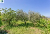 Non-developable land for sale on España, Ogíjares, ref: TR410832 photo