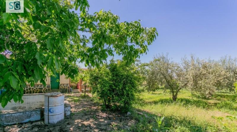 Granada - Ogíjares - 896m2