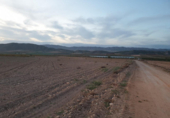 Terreny no urbanitzable en venda a la España, Jumella, ref.: TR410828 foto