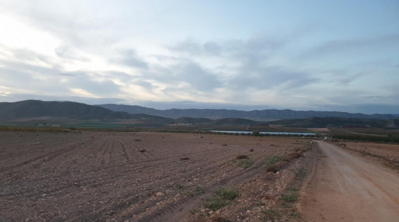 Murcia - Jumilla - 160000m2