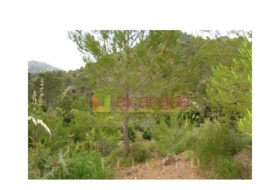 Selva 38098&nbsp;m²